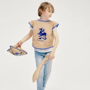 Kit chevalier bleu